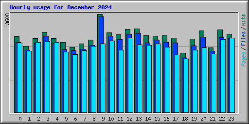 Hourly usage for December 2024