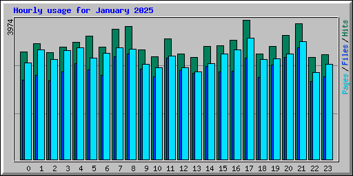 Hourly usage for January 2025