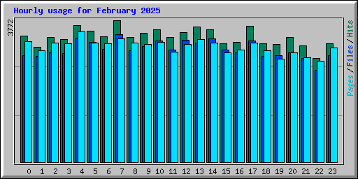 Hourly usage for February 2025