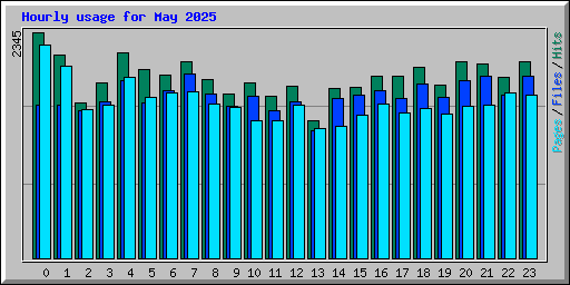Hourly usage for May 2025