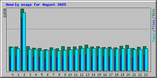 Hourly usage for August 2025