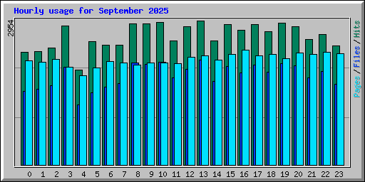 Hourly usage for September 2025