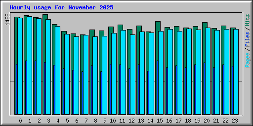 Hourly usage for November 2025