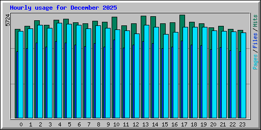 Hourly usage for December 2025