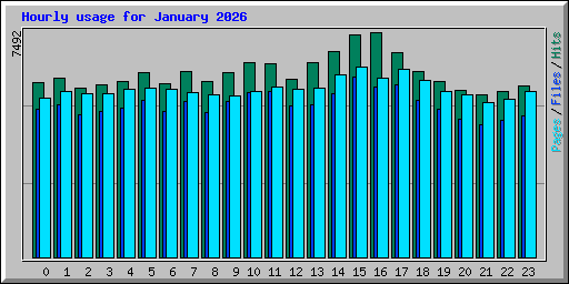 Hourly usage for January 2026