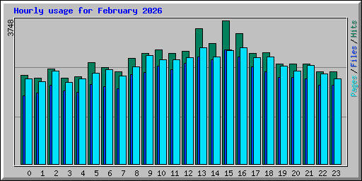 Hourly usage for February 2026