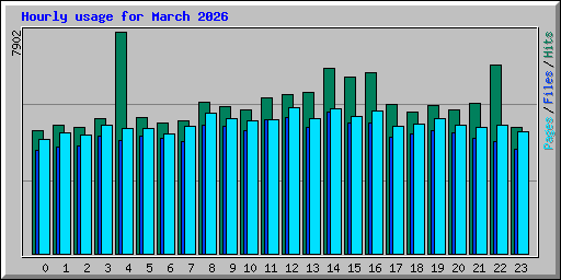 Hourly usage for March 2026