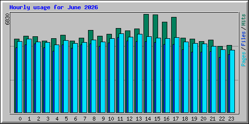Hourly usage for June 2026