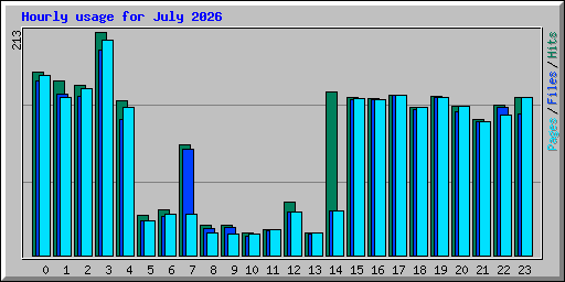 Hourly usage for July 2026