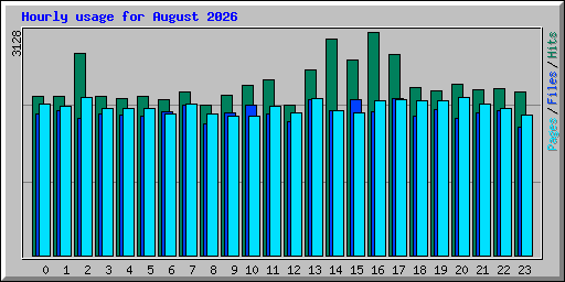 Hourly usage for August 2026